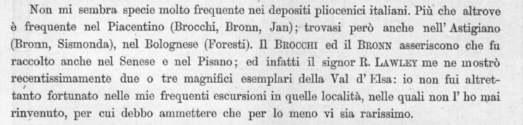 Cymatium parthenopeum