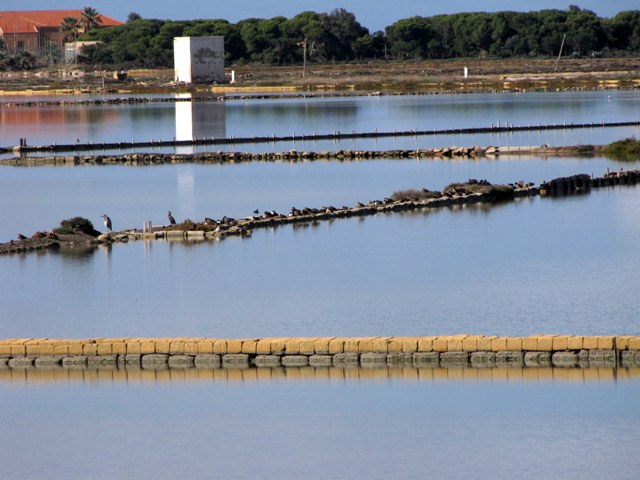 Mignattaio (foto-racconto)