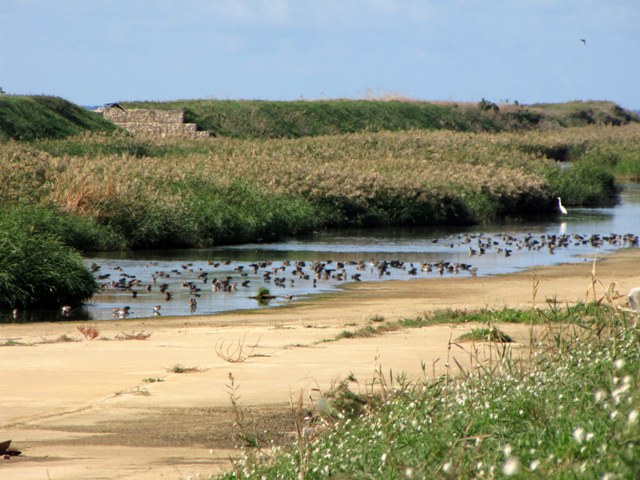 Mignattaio (foto-racconto)