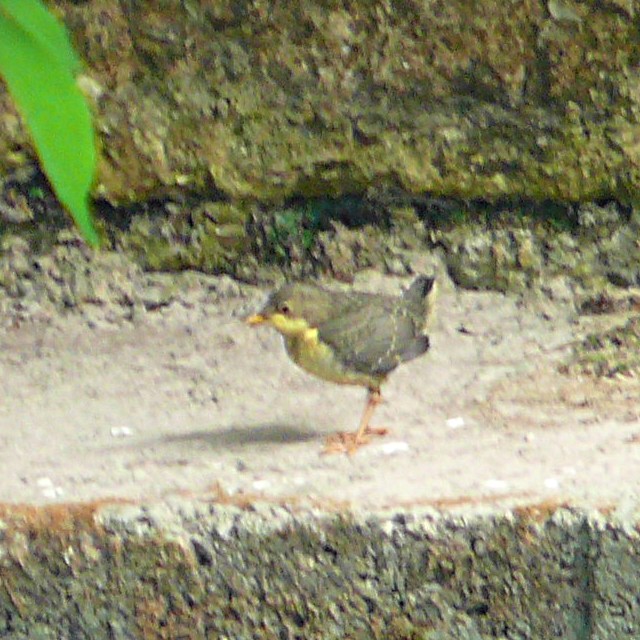 Indovinello (facile facile)
