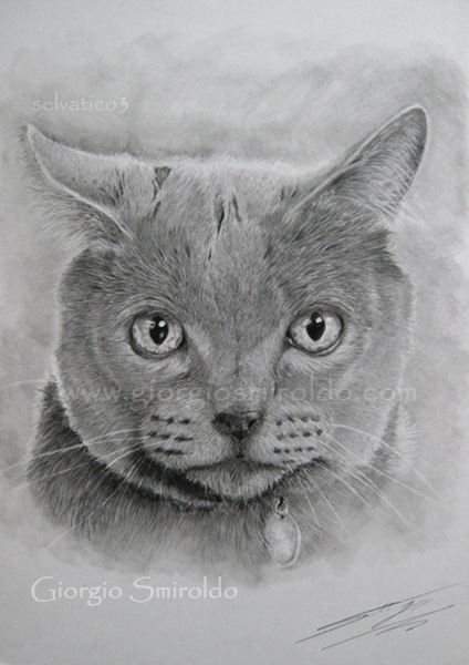 Disegni matita - 