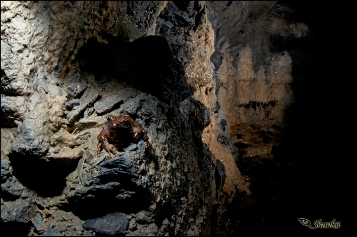 In grotta...