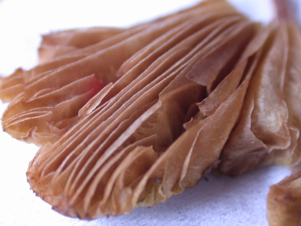 Pi� di cosi... QUIZ