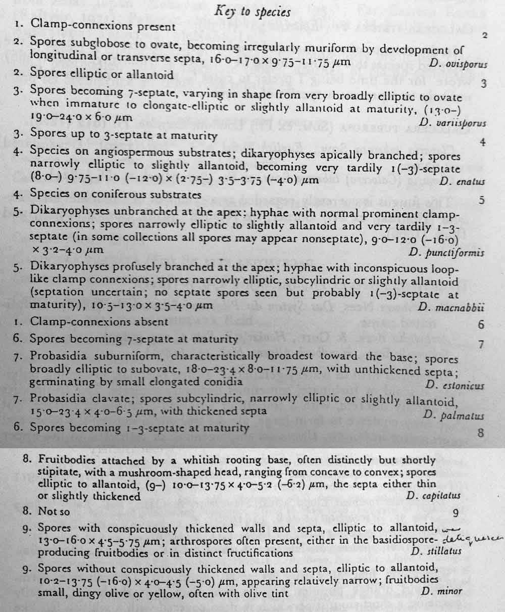 In mancanza di .... QUIZ