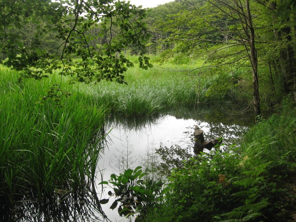 Laghi.........della CALABRIA