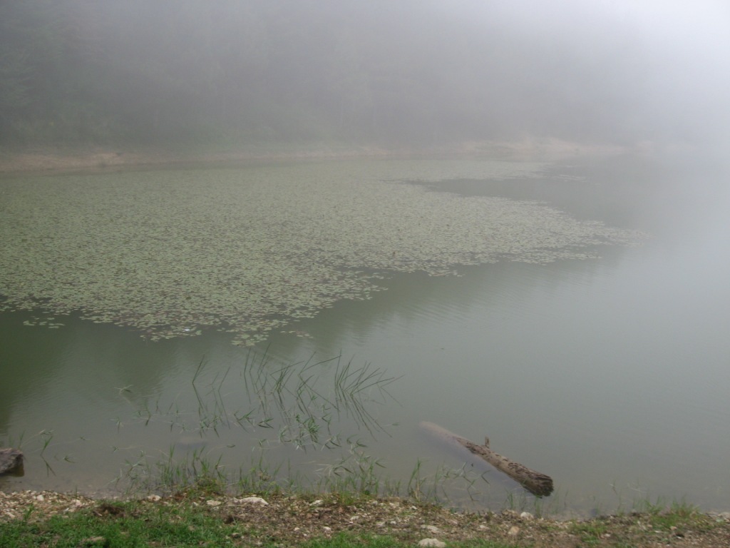 Laghi.........della CALABRIA