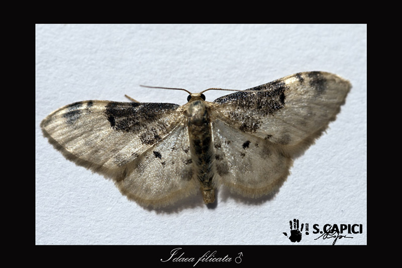 richiesta ID 2