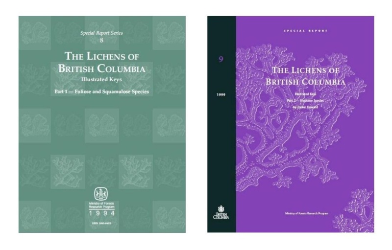 Link a Chiavi di Determinazione