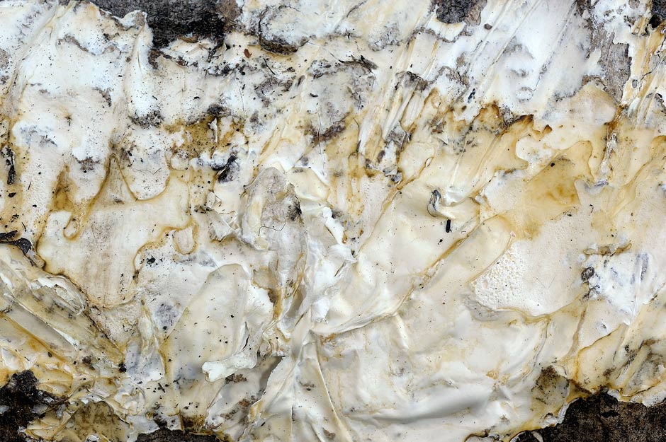 Crosta che sembra stucco - foto 5751