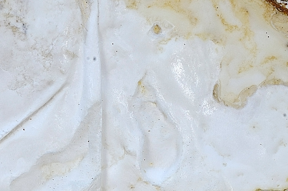 Crosta che sembra stucco - foto 5751