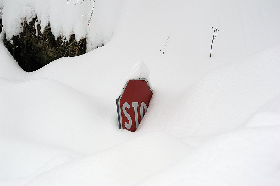 Probabile Schizopora paradoxa - foto 4210( S. paradoxa)