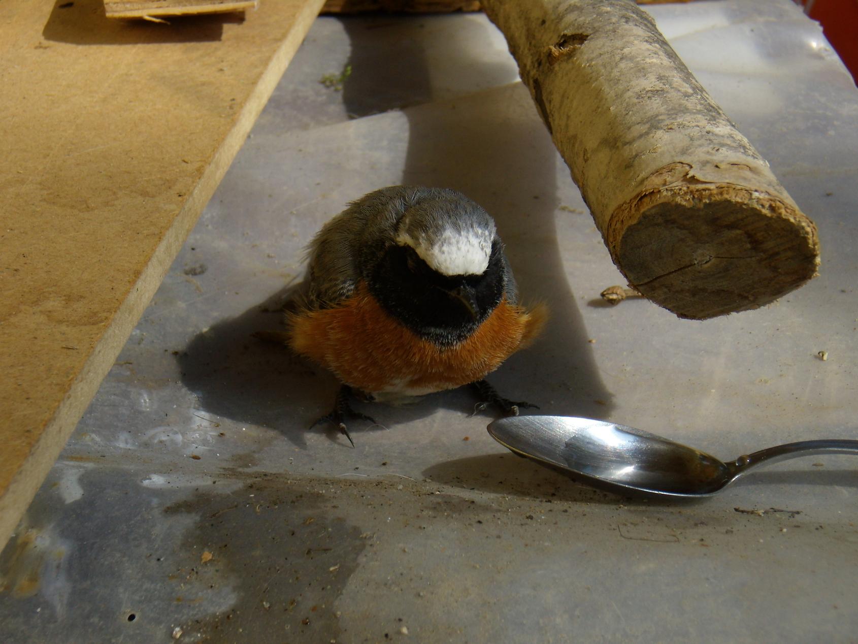 Tutto � bene quel che finisce bene!