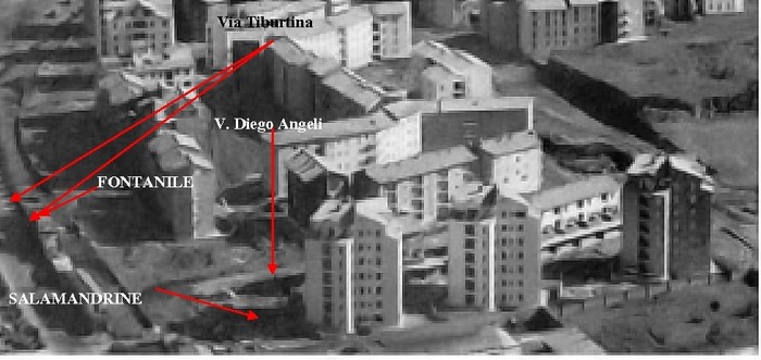 Il mistero delle salamandrine romane