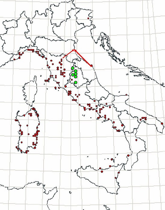 Chi potrebbe essere? Ipotesi