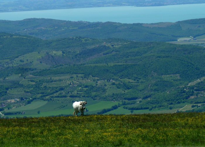 Monte Tezio e dintorni