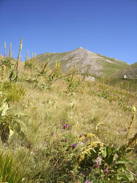 Salita sul Monte Vettore (2476 m)