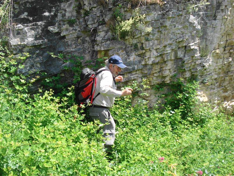 Ritrovamenti in Abruzzo