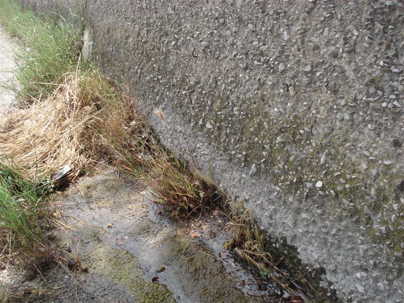 Dulciacquicoli lungo la strada