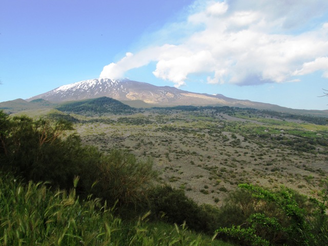 Etna: Lava, neve, boschi e .. rettili!