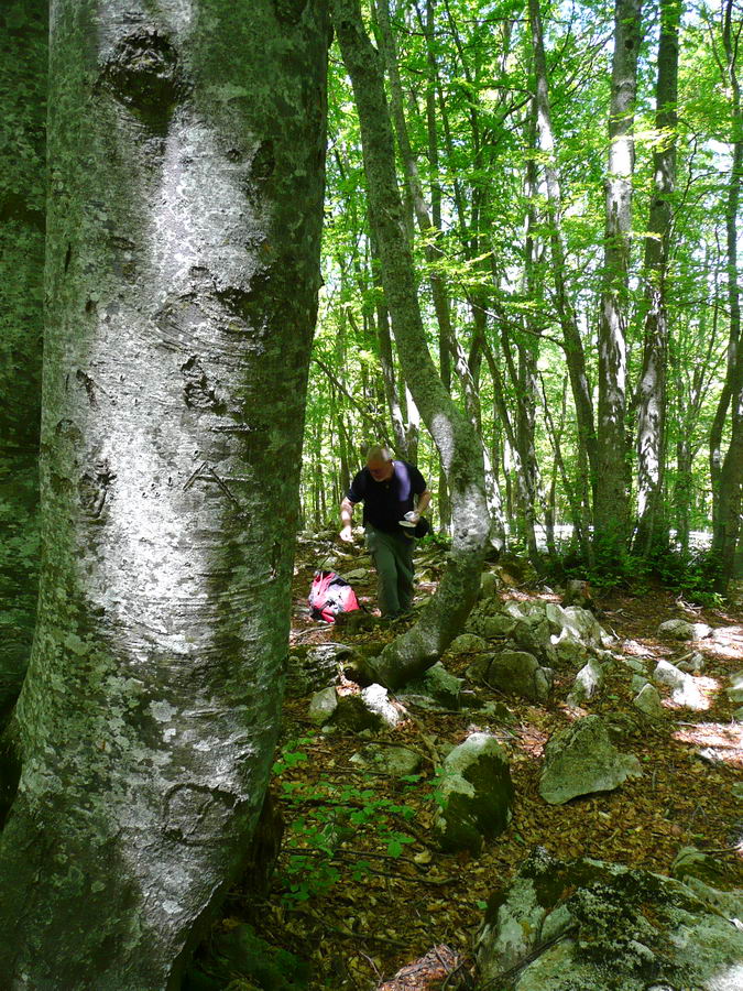 Ritrovamenti in Abruzzo