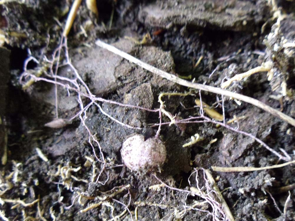 Questo non l''ho mai visto prima!