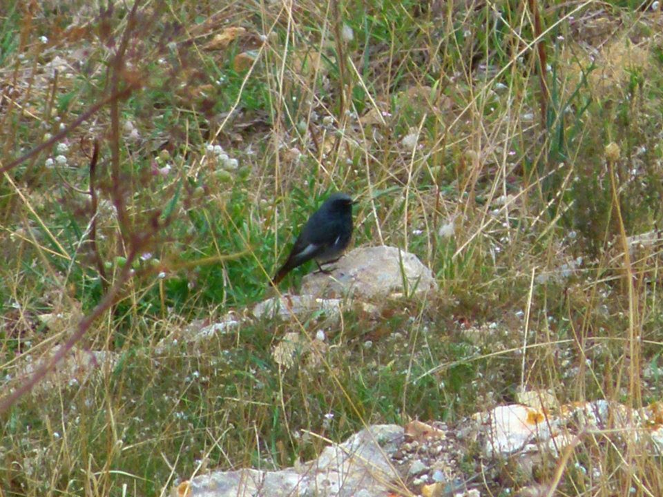 identificazione