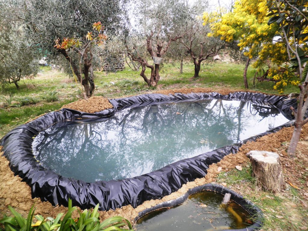 Stagno in costruzione!