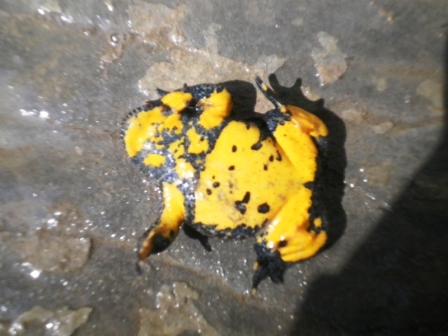 escursione ululonesca