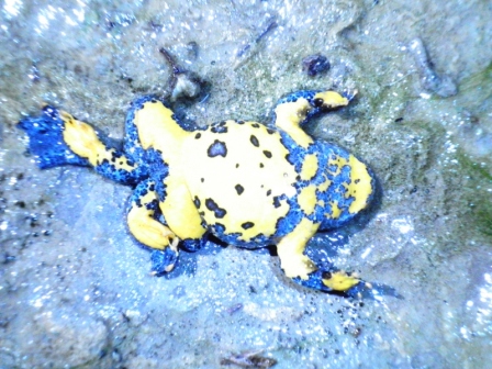 escursione ululonesca