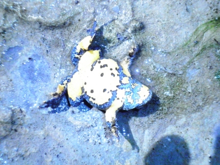 escursione ululonesca