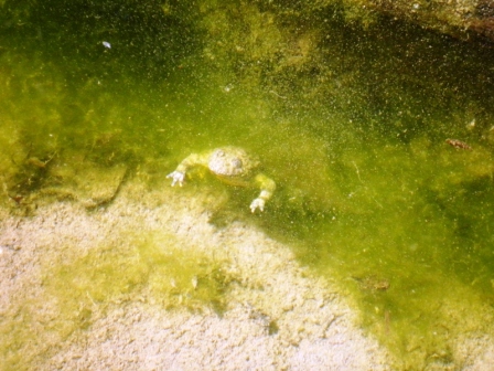 escursione ululonesca