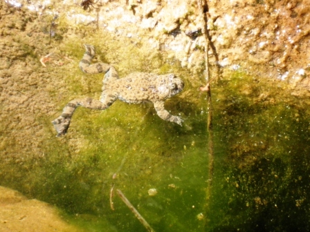 escursione ululonesca
