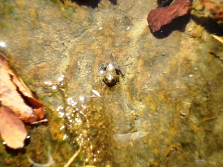 escursione ululonesca