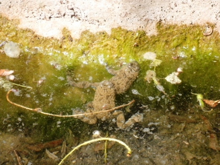 escursione ululonesca