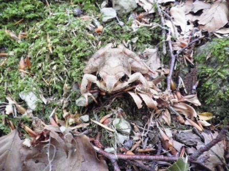 escursione ululonesca