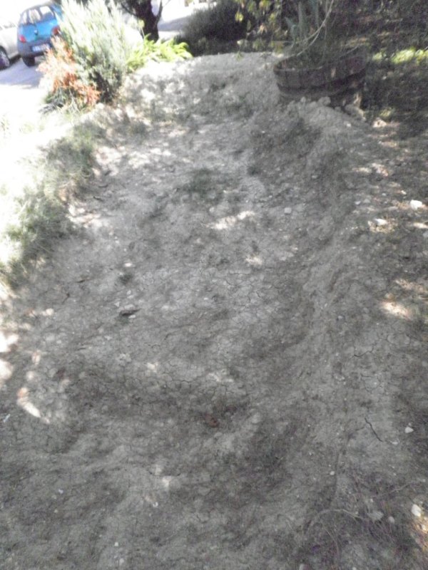 Stagno in costruzione!