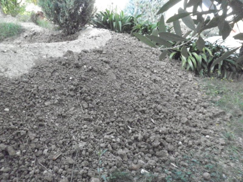 Stagno in costruzione!