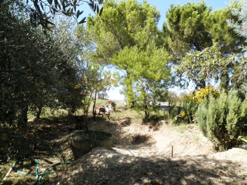 Stagno in costruzione!