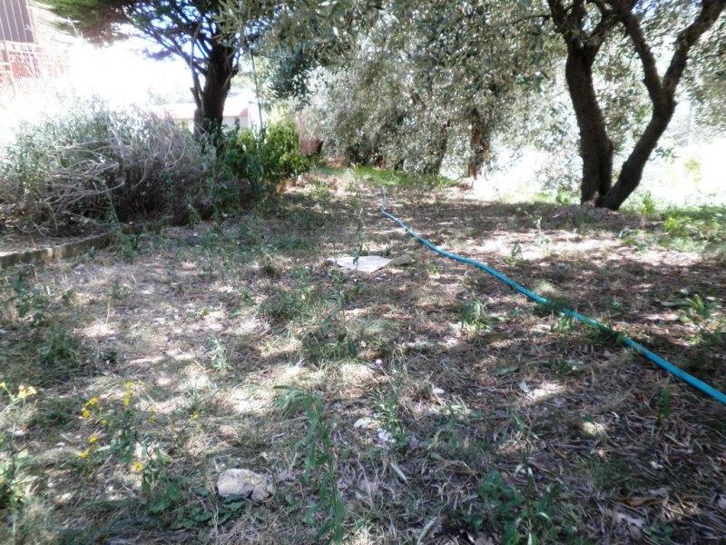Stagno in costruzione!