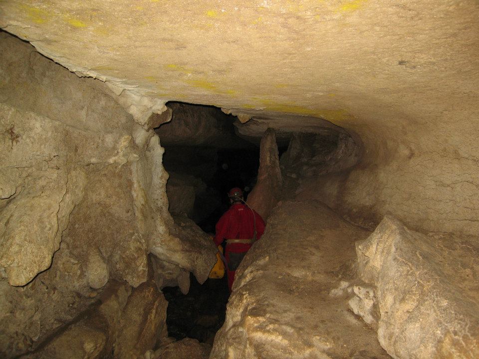 FOSSILE DA DETERMINARE