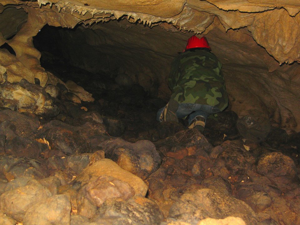 FOSSILE DA DETERMINARE