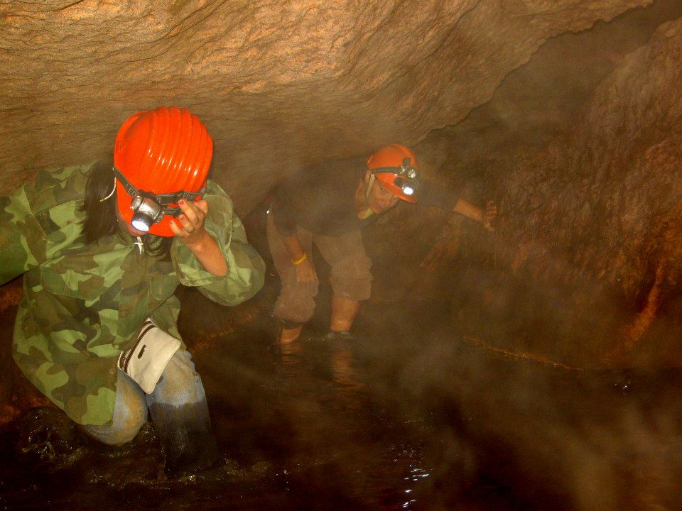 FOSSILE DA DETERMINARE