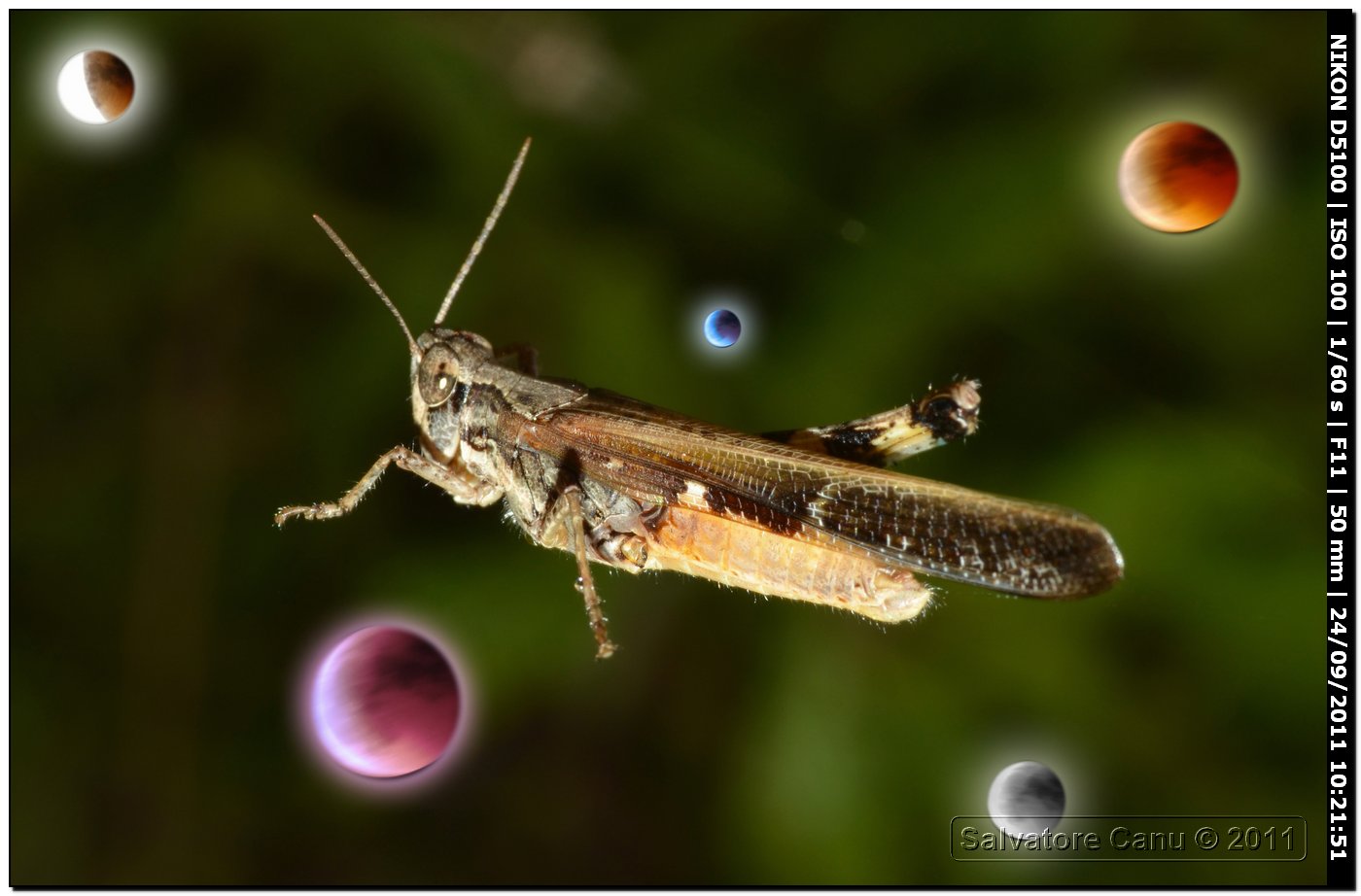 Vagabondi...  spaziali