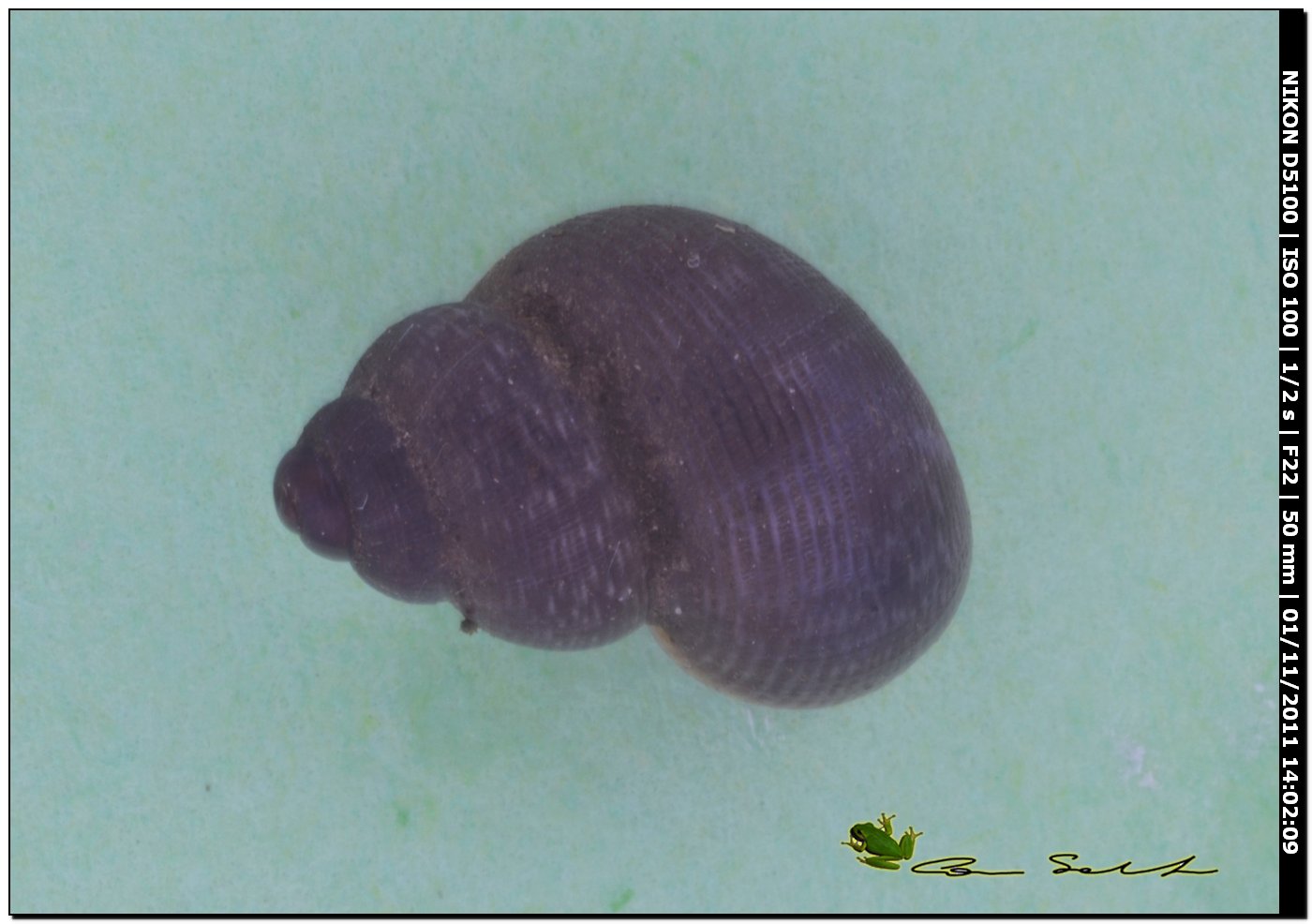 Miscellanea