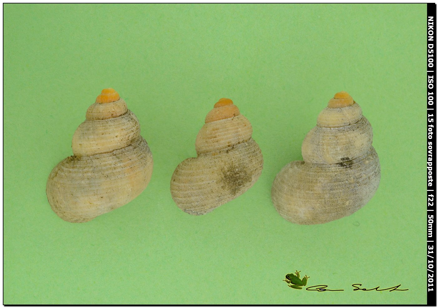 Miscellanea