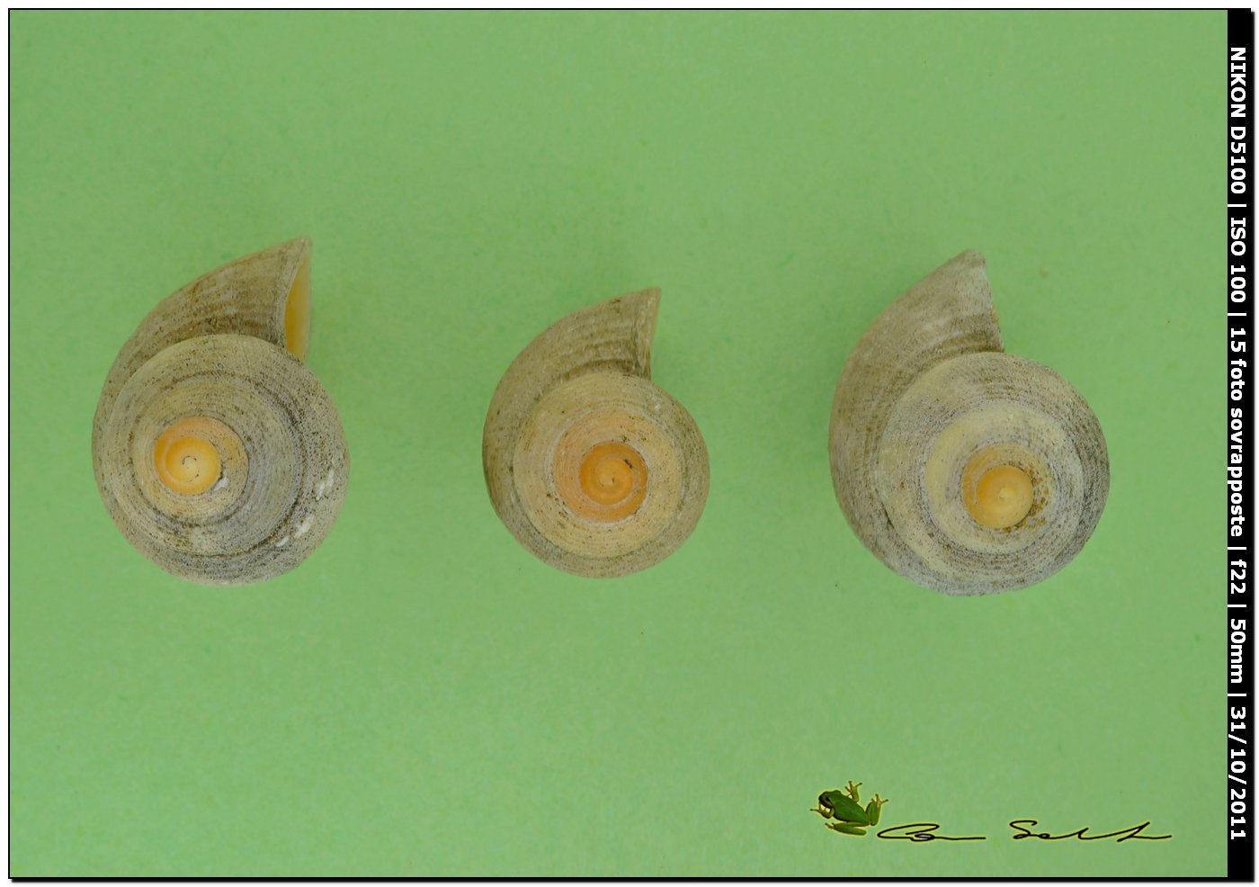 Miscellanea