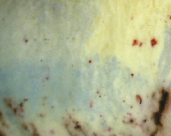 dalle desolatio alla consolatio: Quiz