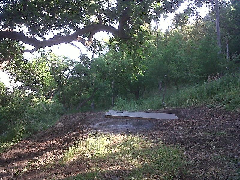 progetto saltus avis