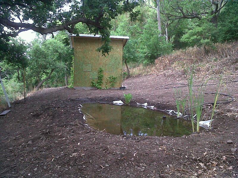 progetto saltus avis