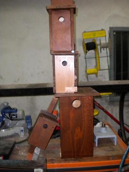 progetto saltus avis